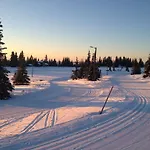 Sonnenhof-willingen 2* Віллінген