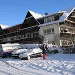 Sonnenhof-willingen 2* Віллінген