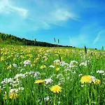 Sonnenhof-willingen 2*