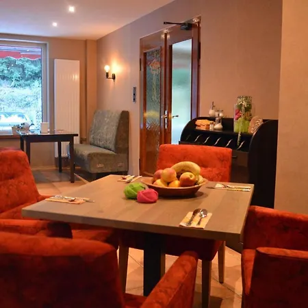 Aparthotel Sonnenhof-willingen Willingen (Upland)