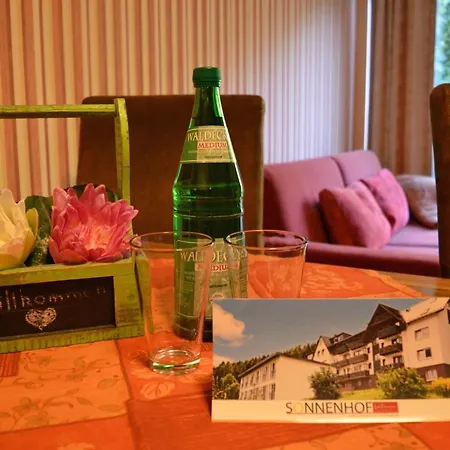 Sonnenhof-willingen 2* Віллінген