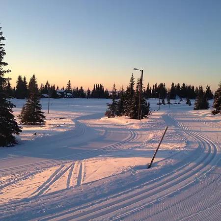 Sonnenhof-willingen 2* Willingen (Upland)