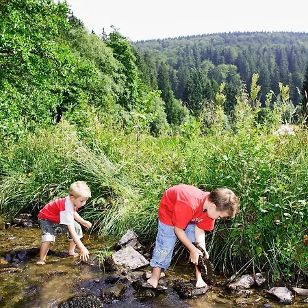 Sonnenhof-willingen Lägenhetshotell 2*