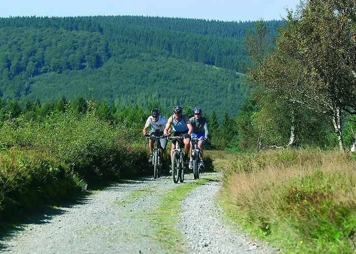 Lägenhetshotell Sonnenhof-willingen Willingen (Upland)