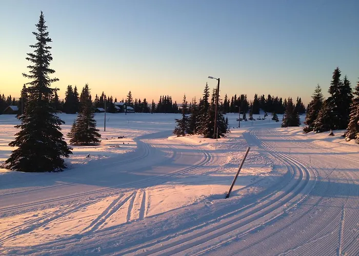 Sonnenhof-willingen 2* Willingen (Upland)