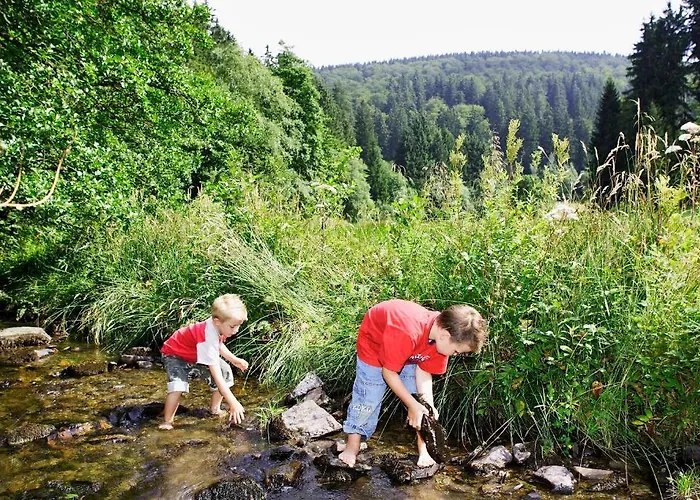 Sonnenhof-willingen Apartahotel 2*
