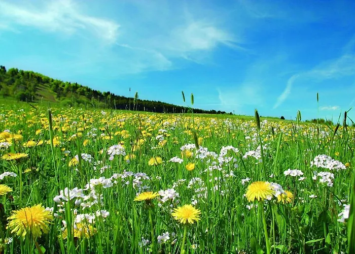 Sonnenhof-willingen 2*