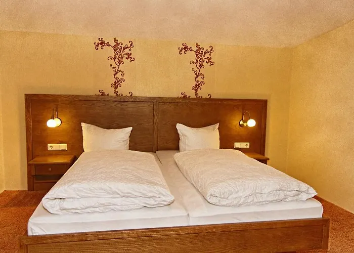 Appart hôtel Sonnenhof-willingen 2*